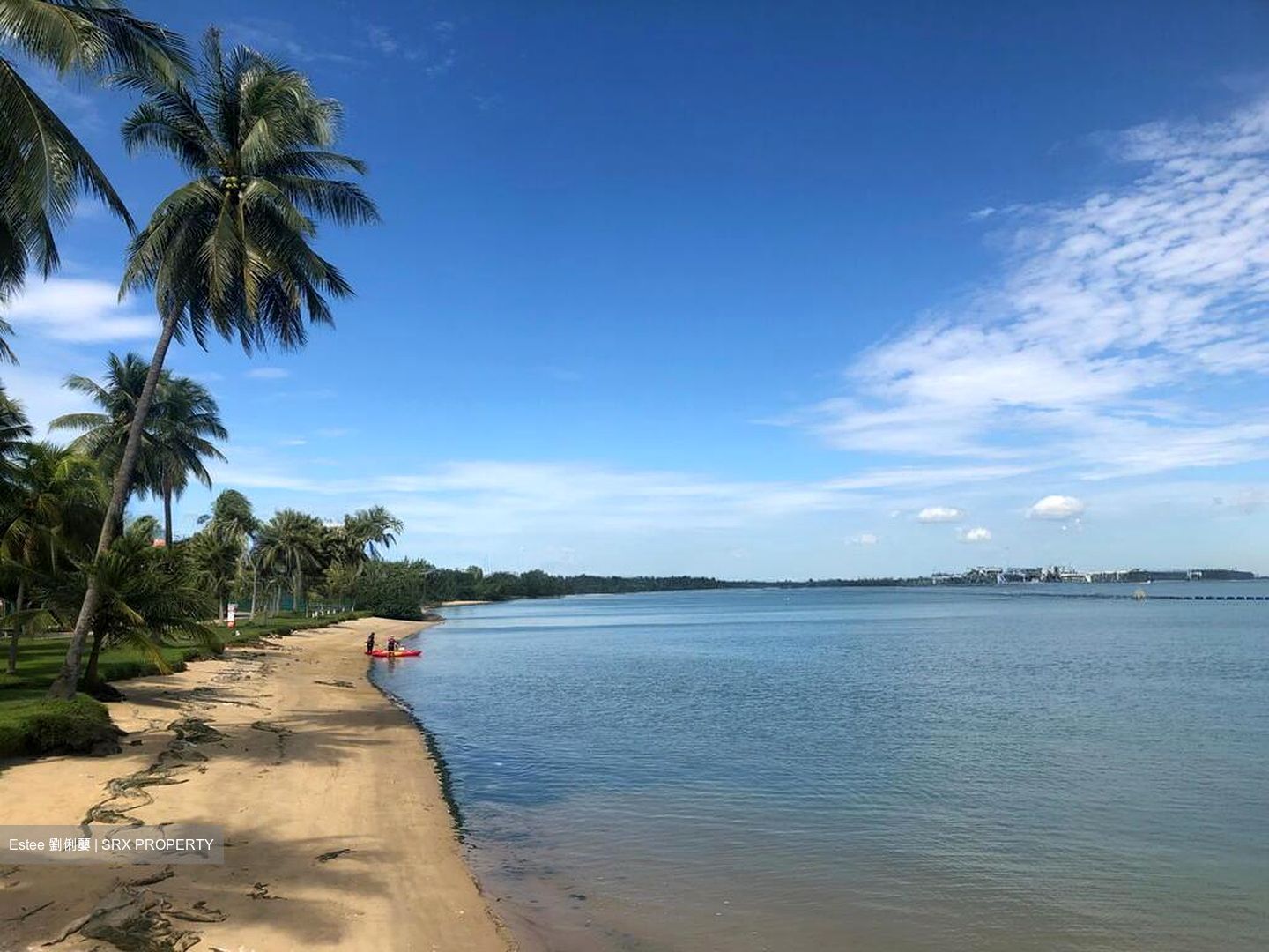 Jalan Loyang Besar (D17), Condominium #501861641